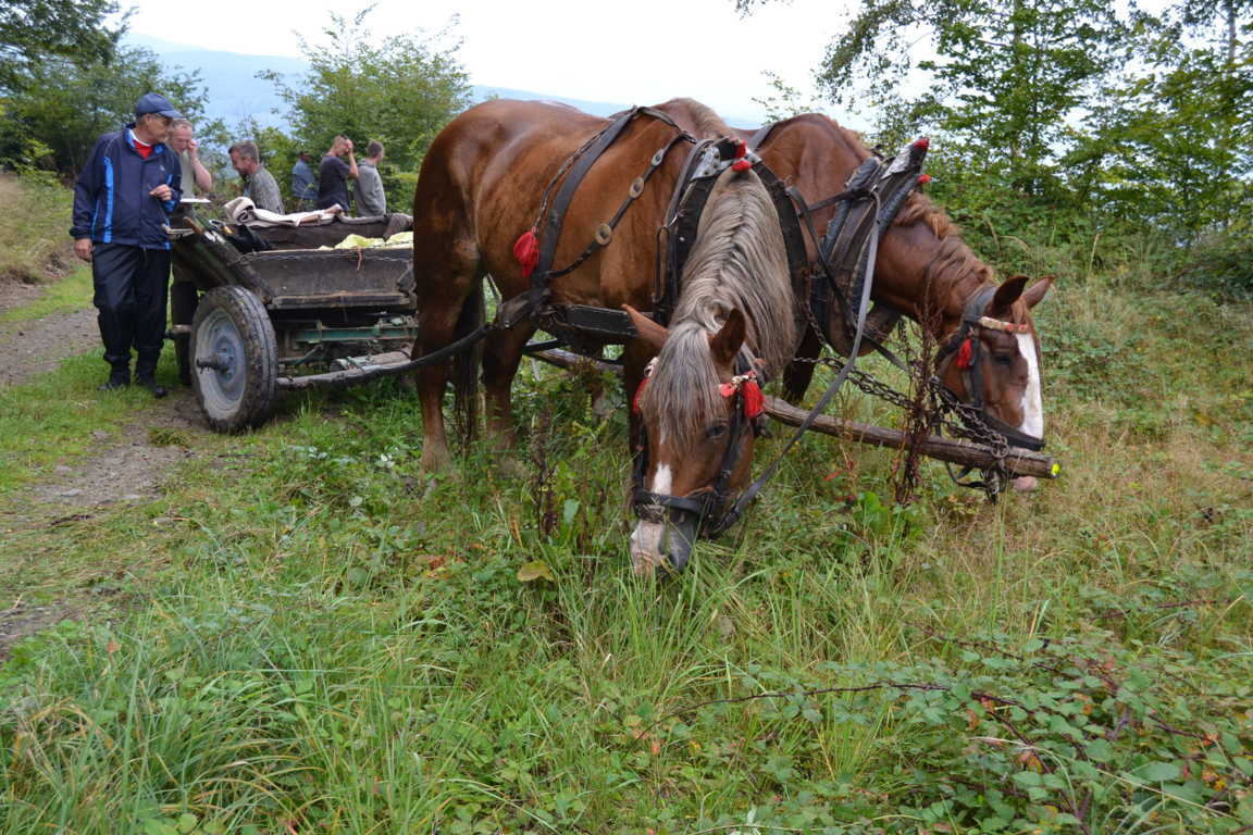 Tribeč 2014 (71)