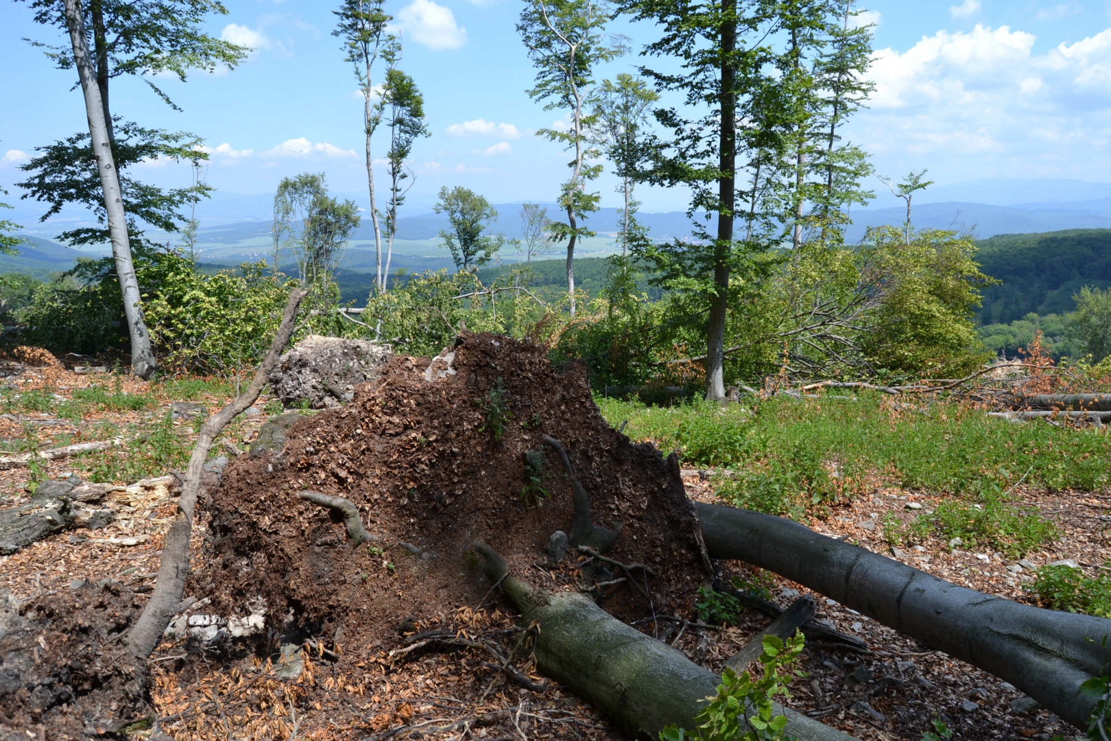 Po stopách práznovských predkov 2014 (41)