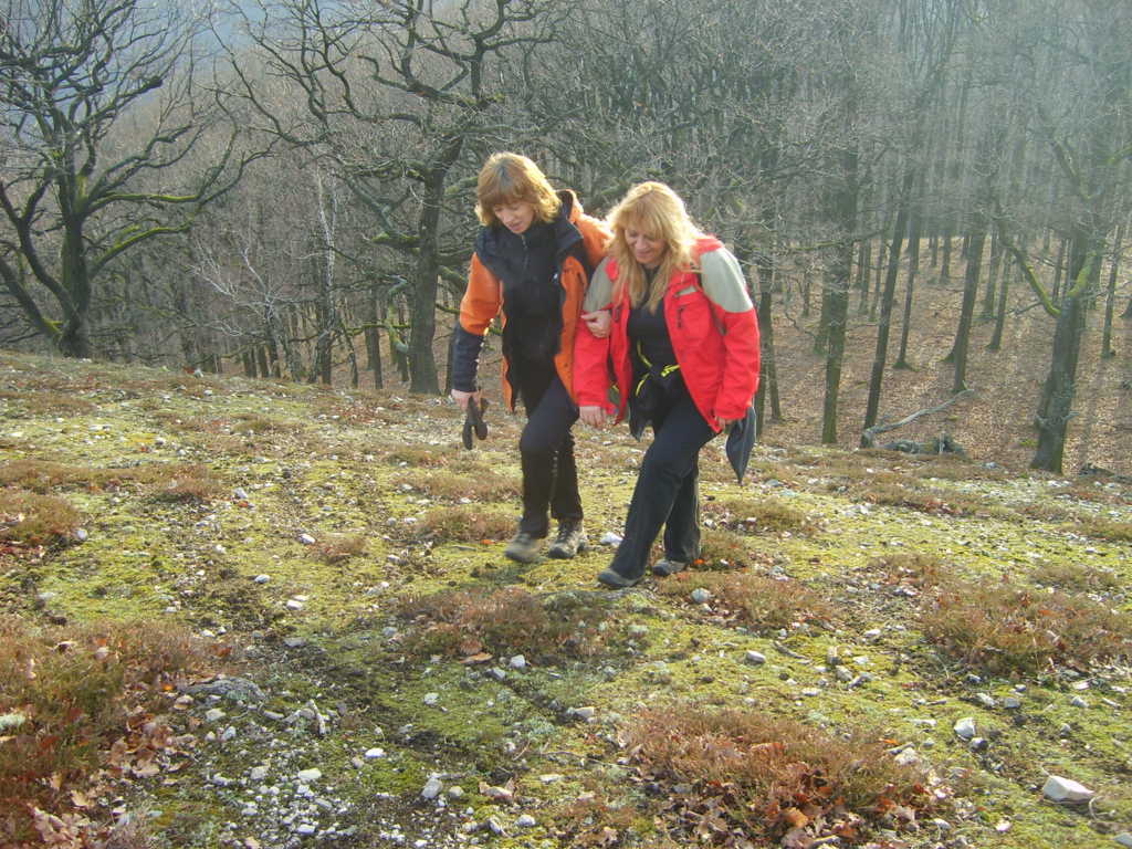 Silestrovský vystup na Vres 2013 (13)