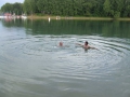 Solinské jazero 2014 (47)