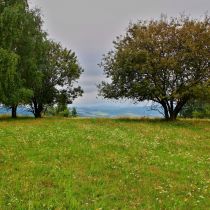 IMG_0070