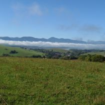 IMG_0259