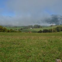 IMG_0264