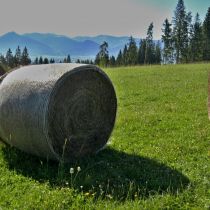 IMG_0272