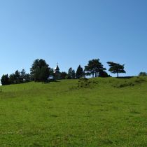 IMG_0281