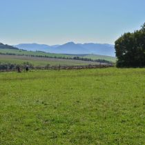 IMG_0284