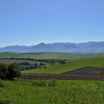 IMG_0286