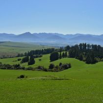 IMG_0291