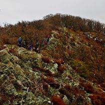 IMG_1227
