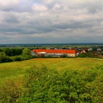 IMG_7496
