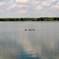 IMG_7553