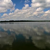 IMG_7554