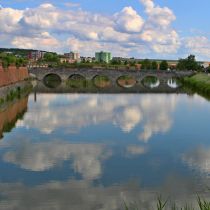 IMG_7585