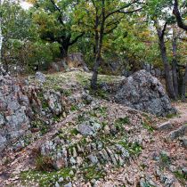 IMG_8479
