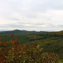 IMG_8487