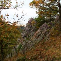 IMG_8511