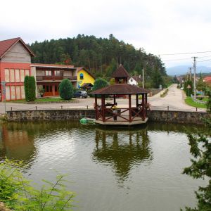 IMG_8538