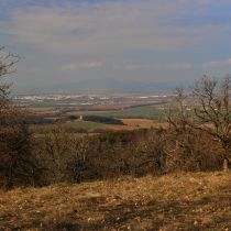 IMG_9223