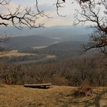 IMG_9225