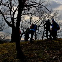 IMG_9271
