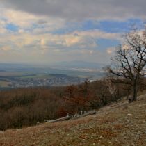 IMG_9283