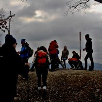 IMG_9291