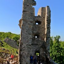 IMG_9542